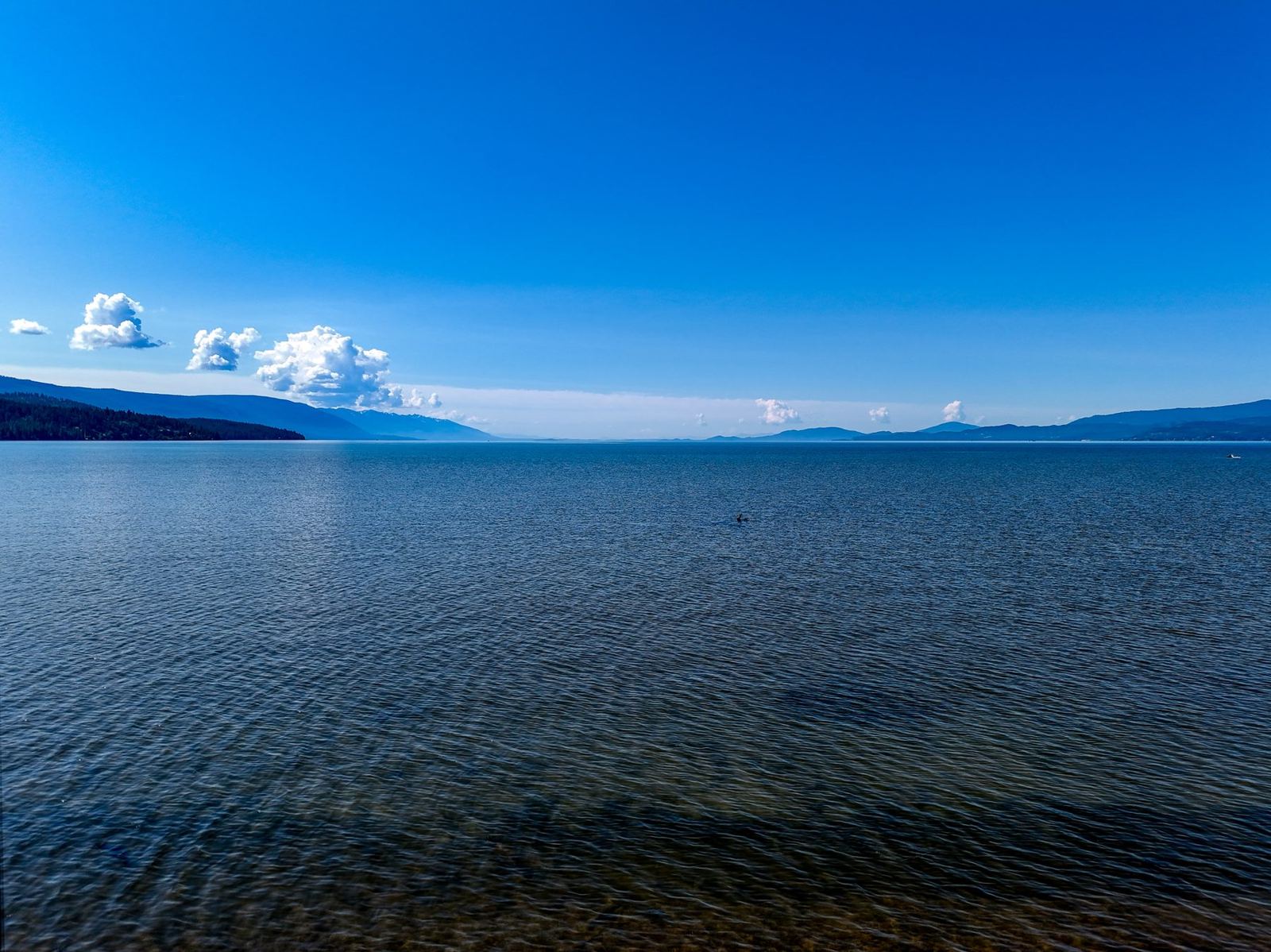 Open water and mountain views from a lakefront lot in Bigfork